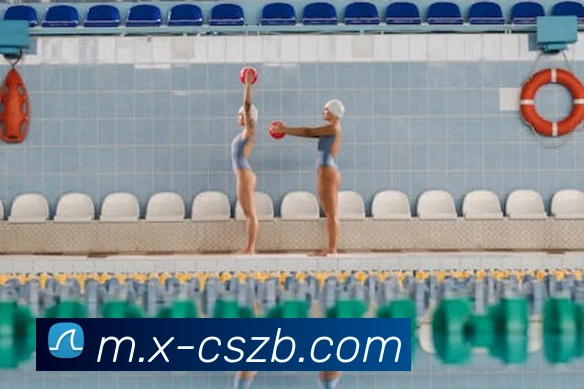 多媒体互动体验